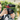 VideoMic